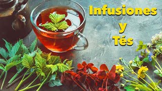 🌱 Las Mejores Infusiones y Tés para tu Salud 🌿 Recetas Fáciles Como prepararlo [upl. by Okiam148]