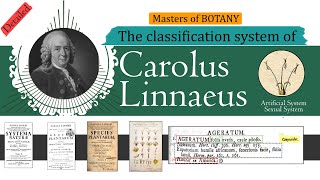 Carolus Linnaeus Classification System Artificial and Sexual Classification System  Detailed [upl. by Upshaw]