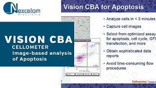 Demonstration ImageBased Analysis of Apoptosis Using Cellometer Vision CBA [upl. by Leverett]