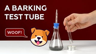 A barking test tube [upl. by Acissj]