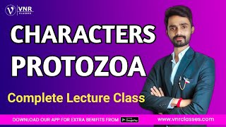 General Characters of Protozoa  BSc1st Year Zoology PaperI NonChordata Full detail [upl. by Yerg]