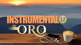 Musica Instrumental de Oro Para Escuchar Grandes Hits Instrumentales [upl. by Carman715]