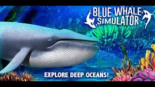 Blue Whale Simulator  Deep Ocean [upl. by Oirevlis]