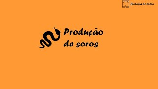 Produção de soros [upl. by Mellitz883]