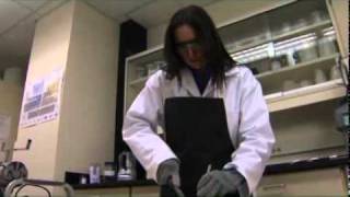 Proximate Analysis  Sample Preparation [upl. by Lejna]