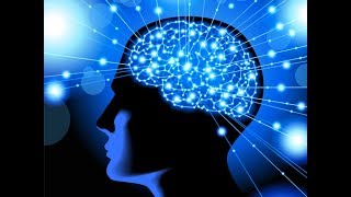 Brain Plasticity to Improve Function [upl. by Fiorenza731]