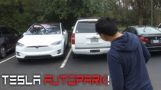 Tesla Self Parking  Say Goodbye to Parallelophobia [upl. by Gladstone]