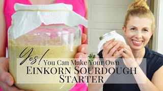 MAKE EINKORN SOURDOUGH STARTER FROM SCRATCH  Transition a Sourdough Starter to Einkorn [upl. by Adidnac638]