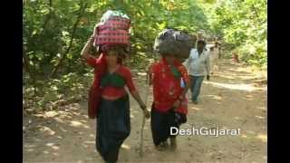 Girnar Lili Parikrama begins [upl. by Annwahs]