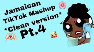 Jamaican tik tok mashup 100 clean 🧼 [upl. by Elaina]