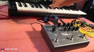 STRYMON TimeLine on KORG MS 20 [upl. by Doolittle261]