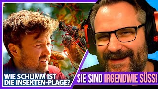 Das Zikadenevent des Jahrhunderts  Gronkh Reaction [upl. by Pages]