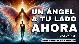 AHORA un Ángel a tu lado💌MENSAJE DE LOS ÁNGELES PARA TI DIGEON Arcángel Azrael Enseñanza VERTI [upl. by Dagna]