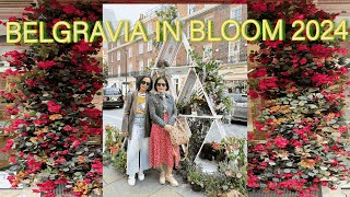 BELGRAVIA IN BLOOM A FLORAL FEAST FLOWER SHOW LONDON 2024 FESTIVAL BUNGA GRATIS [upl. by Wandis684]