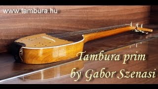 Tambura prim by Gabor Szenasi [upl. by Hite]