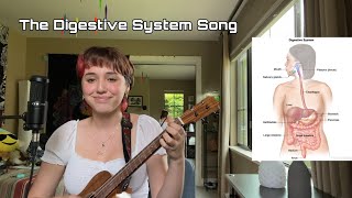 The Digestive System Song [upl. by Wobniar]