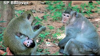 Possum Did Very Bad To Baby Monkey Charles  BBlover 131 [upl. by Aryek]