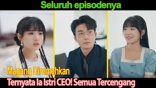 Magang Diremehkan Ternyata Ia Istri CEO Semua Tercengang [upl. by Finbur966]