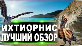 Ихтиорнис Ichthyornis в АРК Лучший обзор приручение разведение и способности в ark [upl. by Aela]