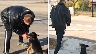 Man That Abandons His Dog At The Park Goes Ballistic Once Good Samaritan Confronts Him [upl. by Cayser]