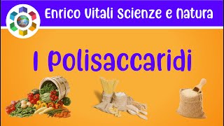 I POLISACCARIDI Caratteristiche e proprietà Immagini ad altissima qualità grafica Video in 4K [upl. by Annaeoj]