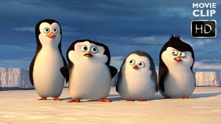 Penguins of Madagascar  Antarctica Clip  DreamWorks Animation HD [upl. by Nyrroc]