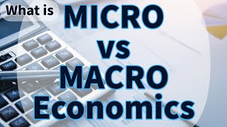 Whats the Difference between MICRO and MACRO  Think Econ macro micro economics [upl. by Dougherty]