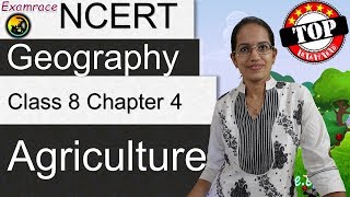 NCERT Class 8 Geography Chapter 4 Agriculture Examrace  Dr Manishika  English  CBSE [upl. by Ethel]