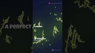 How Do Bacteria Reproduce  Quick Science Explainer biology biofacts facts cellbiology dj [upl. by Aicul]