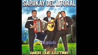 El galpon SAPUKAY DEL LITORAL chamame musica acordeon music [upl. by Comethuauc]