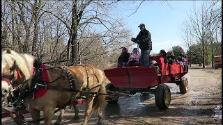 Kortright Park Vaughan  Maple Syrup Festival and Things To Do [upl. by Ecinhoj755]