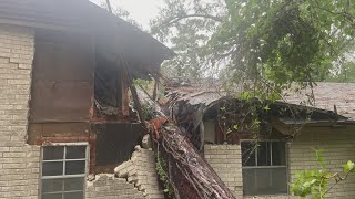 Grandmother has warning for others after insurance mishap when Beryl caused tree to fall on home [upl. by Eannyl]