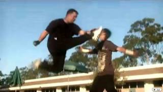 Wushu vs Karate  Martial Arts Fight Scene [upl. by Irrem]