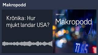 Makropodd  Krönika Hur mjukt landar USA [upl. by Magdau316]