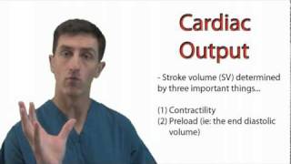 The Physiology of Cardiac Output [upl. by Therese]