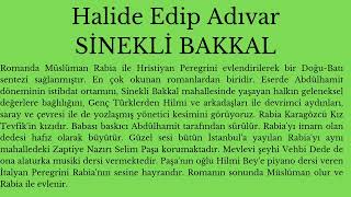 AYT EDEBİYAT Eser Özetleri  Halide Edip Adıvar SİNEKLİ BAKKAL [upl. by Christalle]