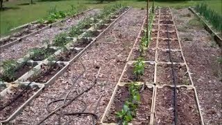 Installing A Drip Irrigation System For Raised Beds [upl. by Nylirehc]