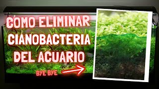 Como Eliminar Cianobacteria del Acuario  Método 100 Eficaz [upl. by Dett]