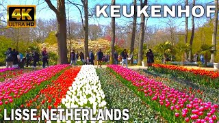 🇳🇱Keukenhof 2022 4K  LisseNetherlands  The Garden of Europe [upl. by Aynna26]