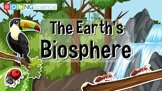 The Earths Biosphere [upl. by Omolhs]