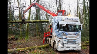 🌲😍 Un sublime Scania S580 de chez Trans Argoat au chargement de bois de chauffage [upl. by Aitnahs]