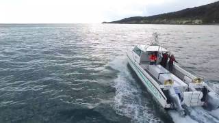 Cheetah Marine Round the Island on Hydrogen Car vs Catamaran [upl. by Baudoin407]