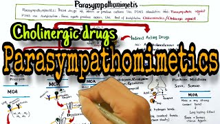 Cholinergic drugs Parasympathomimetics classification and mechanism of action [upl. by Inohs]