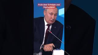 Putin redet über Gerhard Schröder und die Politik in Deutschland shorts [upl. by Brabazon353]