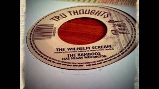 The Bamboos  The Wilhelm Scream ft Megan Washington [upl. by Llenrahc609]