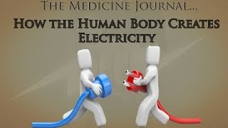 How the Human Body Creates Electricity [upl. by Lars]