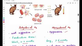 Polyclonal Vs Monoclonal antibodies [upl. by Caruso]