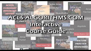 2022 Interactive Course Guide [upl. by Pegma412]