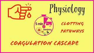 COAGULATION CASCADE  CLOTTING PATHWAY  PHYSIOLOGY  EASY EXAM NOTES  5minDENTISTRY [upl. by Gerik200]