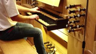 Stefan Hiller spielt hallelujah an der Orgel [upl. by Gilburt]